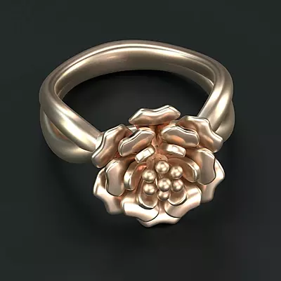 Ring-5